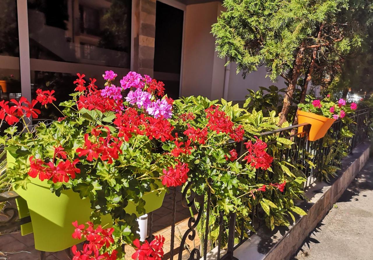 Tropics Hotel سفيتي فلاس المظهر الخارجي الصورة
